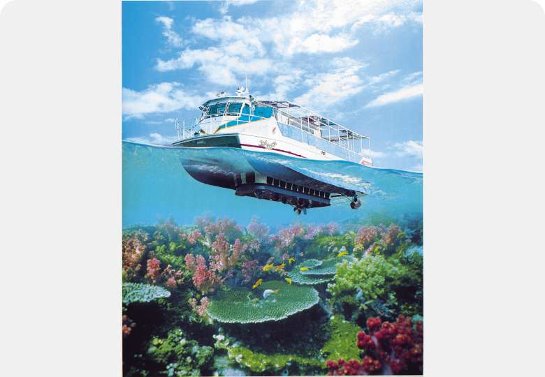 愛南町 「海底が見える船」国立公園を巡るクルーズ！